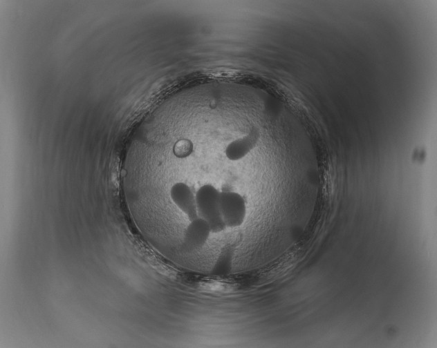 X0000115320561200911161748