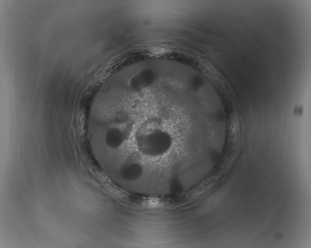 X0000115320565200911161748