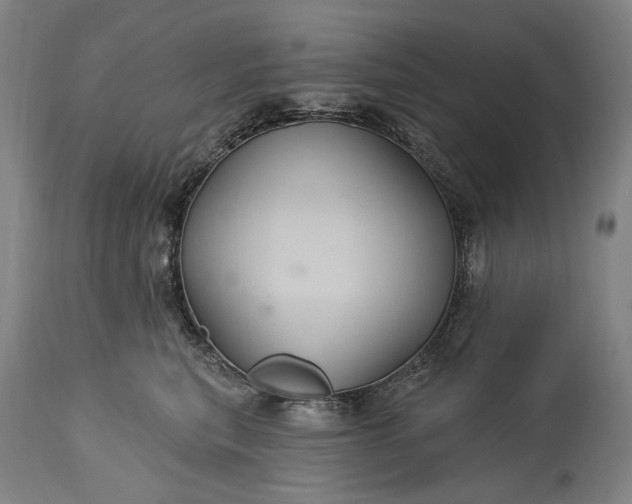 X0000115320567200911161748