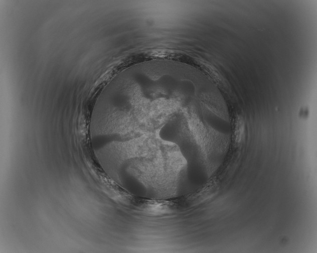 X0000115320569200911161748