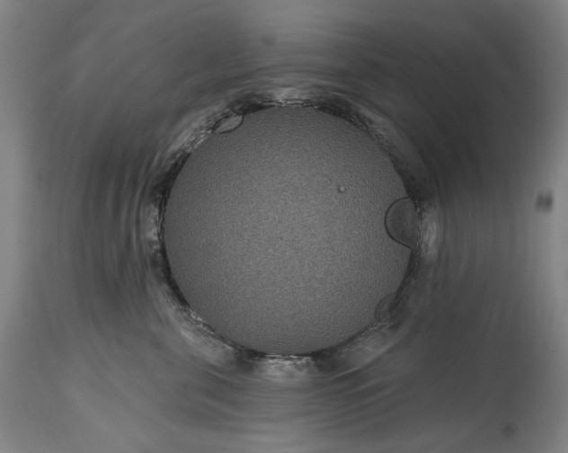 X0000115320571200911161748