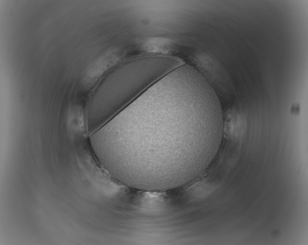 X0000115320573200911161748