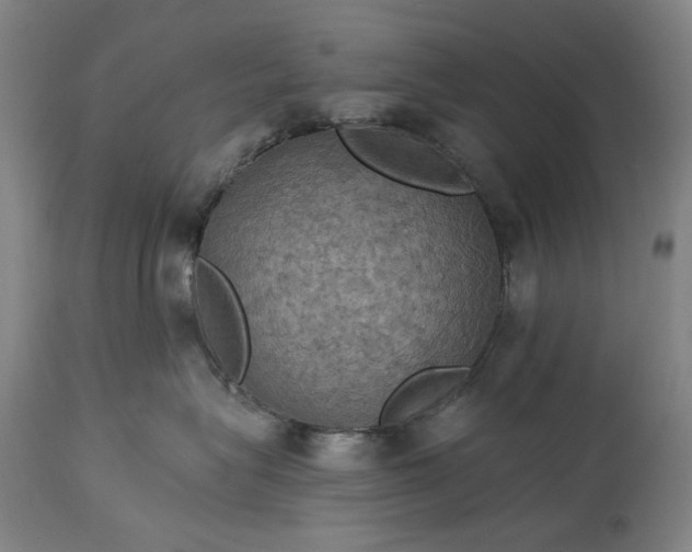 X0000115320575200911161748