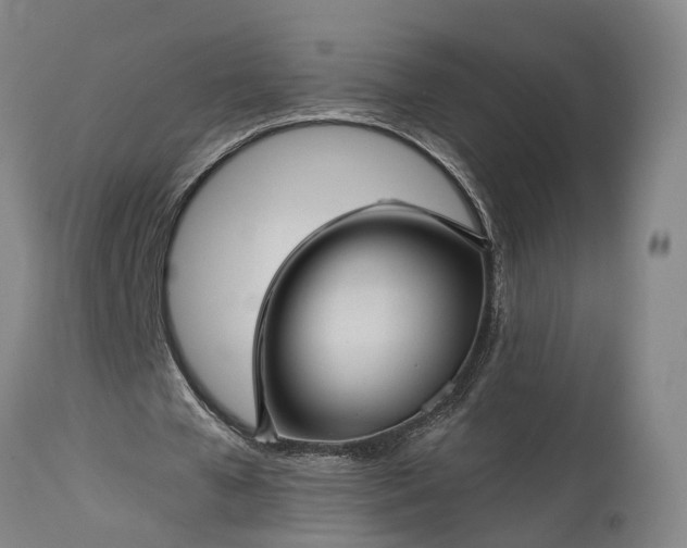 X0000115320577200911161747