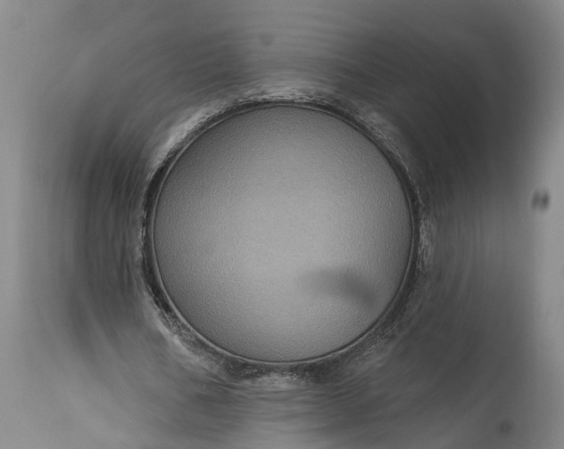 X0000115320578200911161747