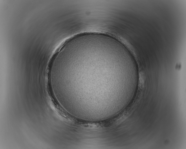 X0000115320580200911161747