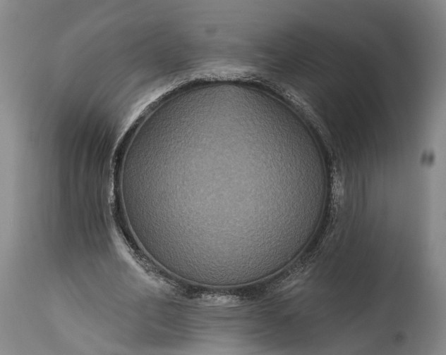 X0000115320582200911161747