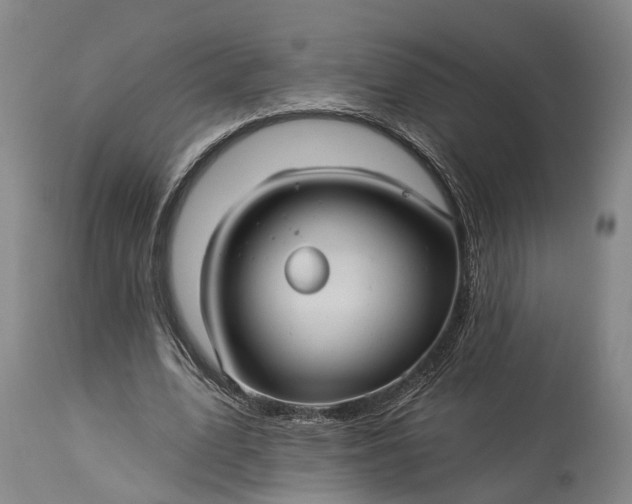 X0000115320583200911161747