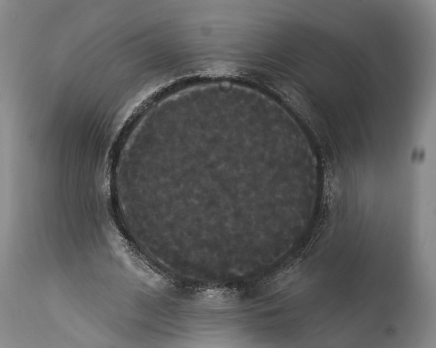 X0000115320584200911161747