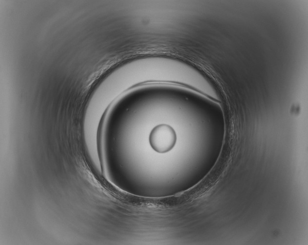 X0000115320585200911161747