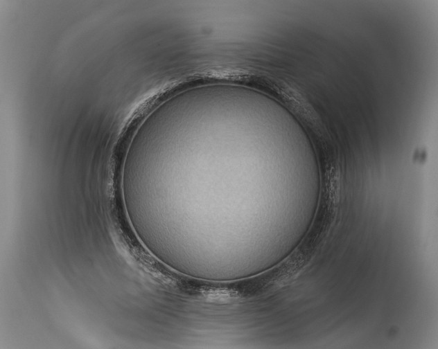 X0000115320587200911161747