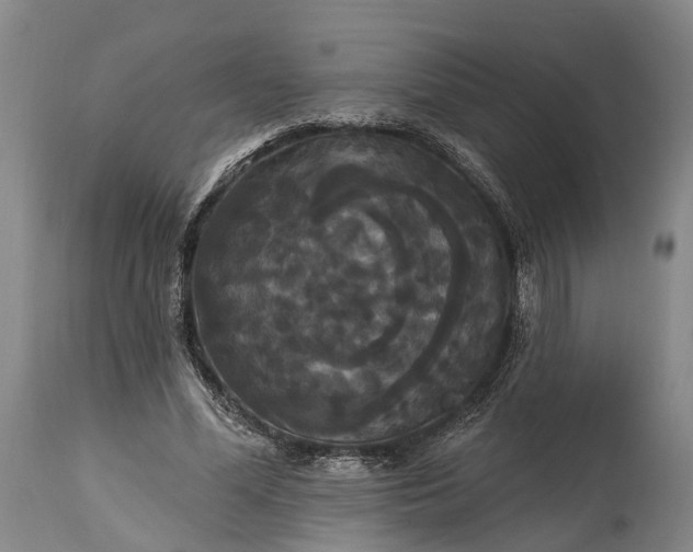 X0000115320588200911161747