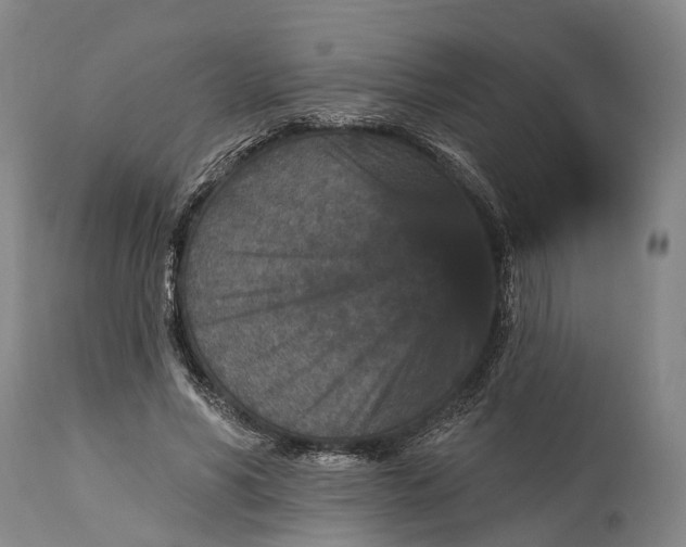 X0000115320590200911161747