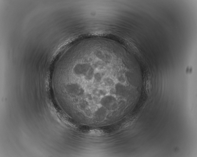 X0000115320591200911161747