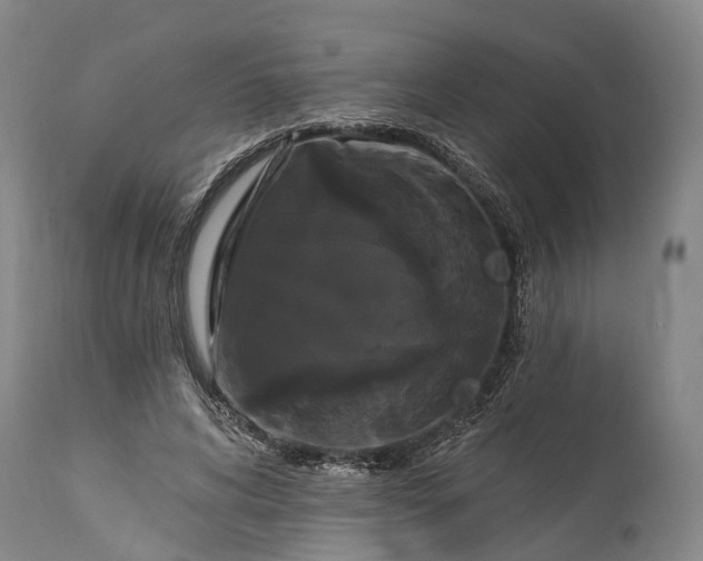 X0000115320592200911161747