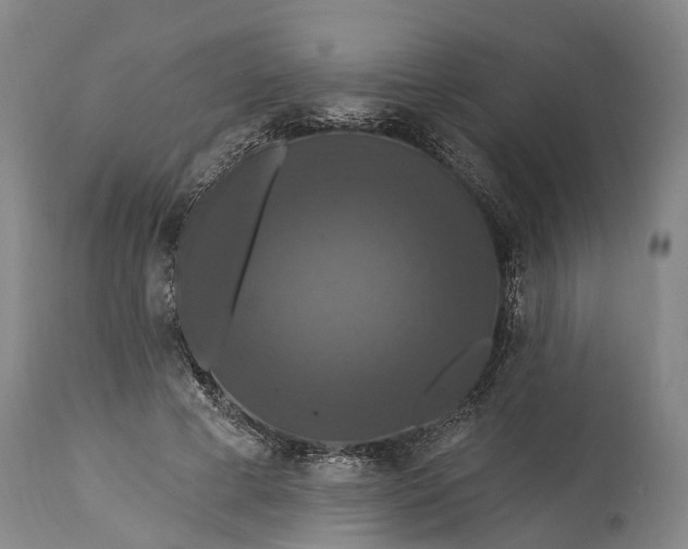 X0000115320593200911161747