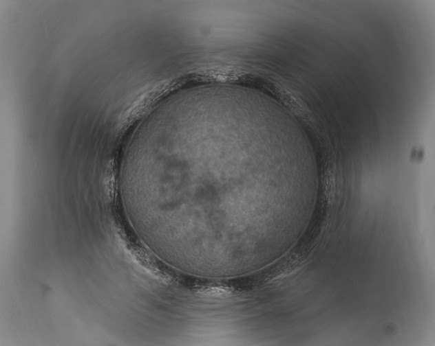 X0000115320594200911161747