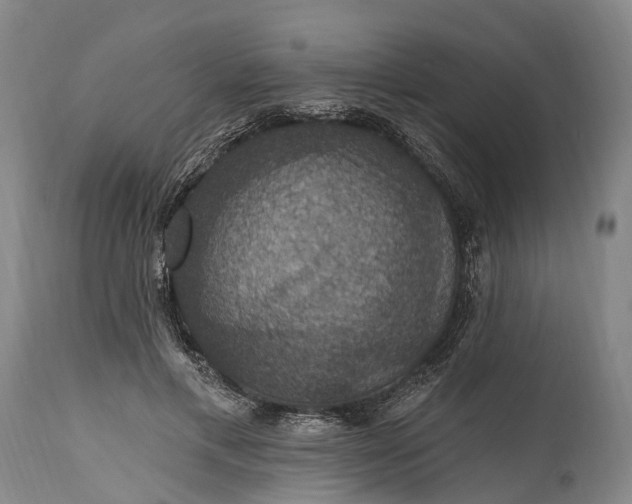 X0000115320597200911161747