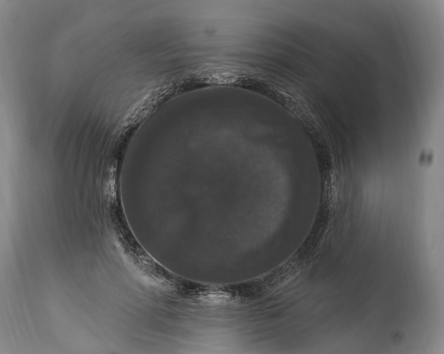 X0000115320598200911161747