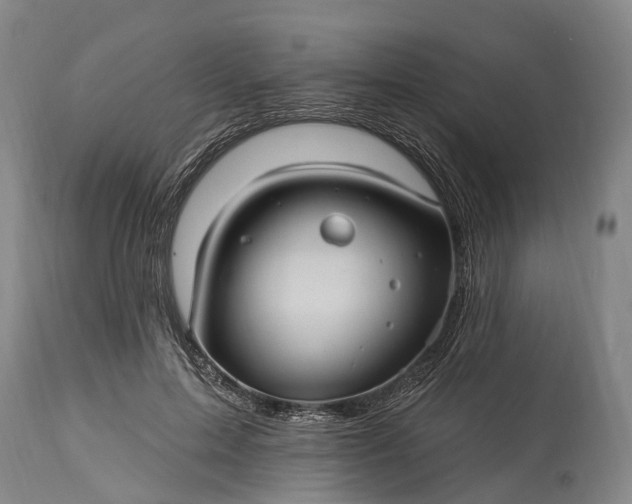 X0000115320599200911161747