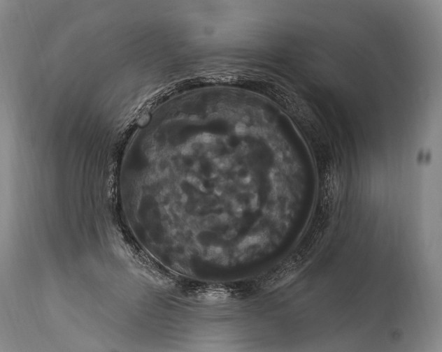 X0000115320600200911161747