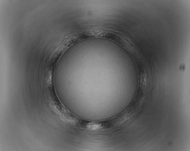 X0000115320602200911161747