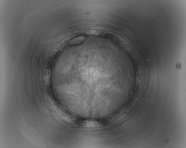 X0000115320605200911161747