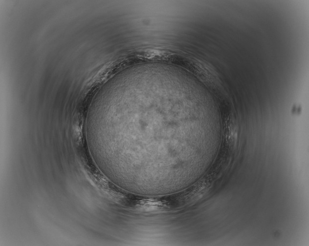 X0000115320607200911161747