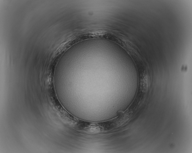 X0000115320608200911161746