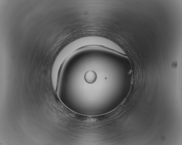 X0000115320609200911161746