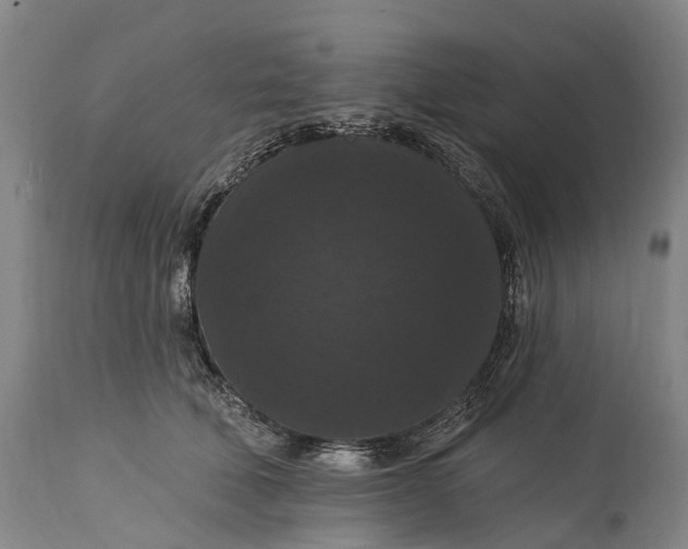 X0000115320610200911161746