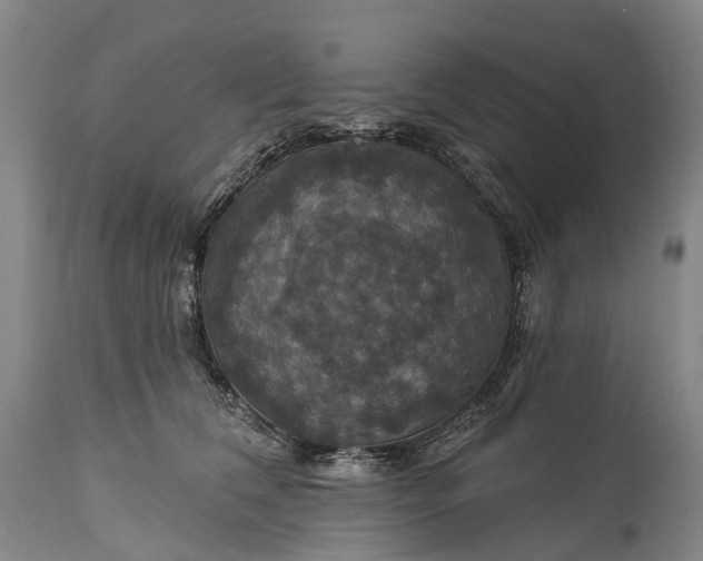 X0000115320612200911161746