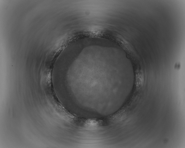 X0000115320613200911161746