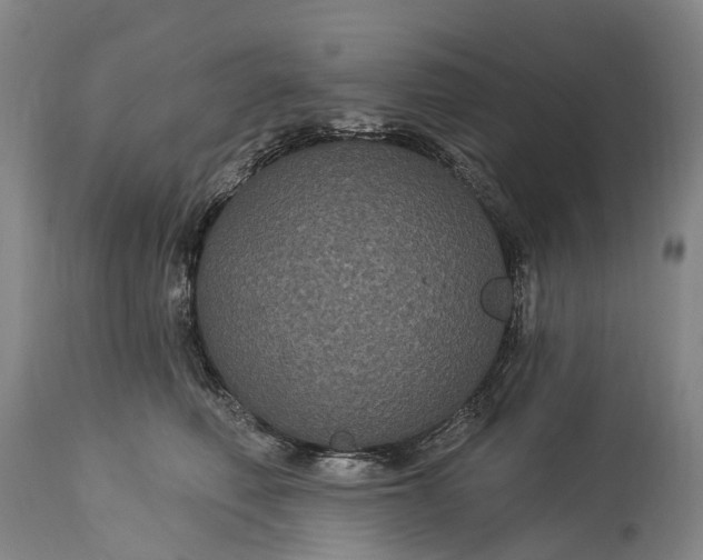 X0000115320614200911161746