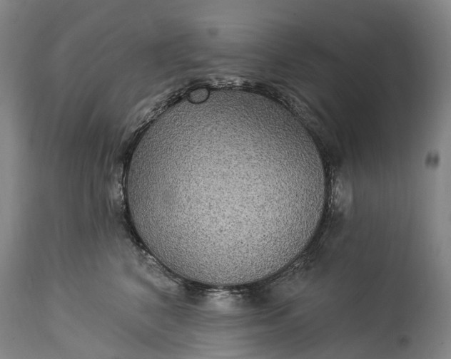 X0000115320616200911161746