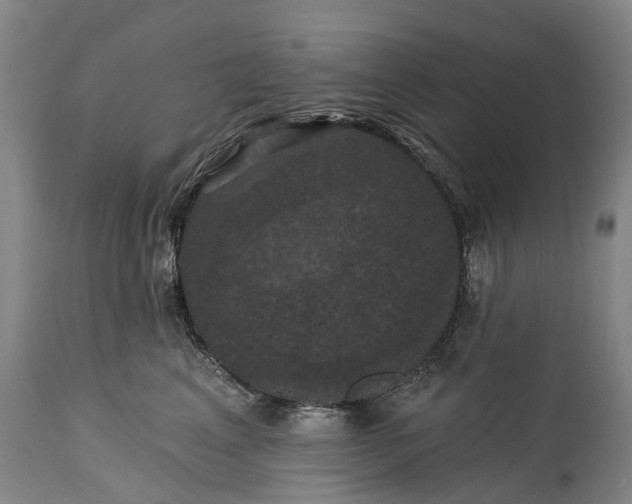 X0000115320617200911161746