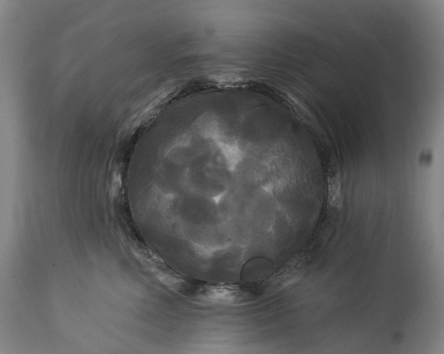 X0000115320618200911161746