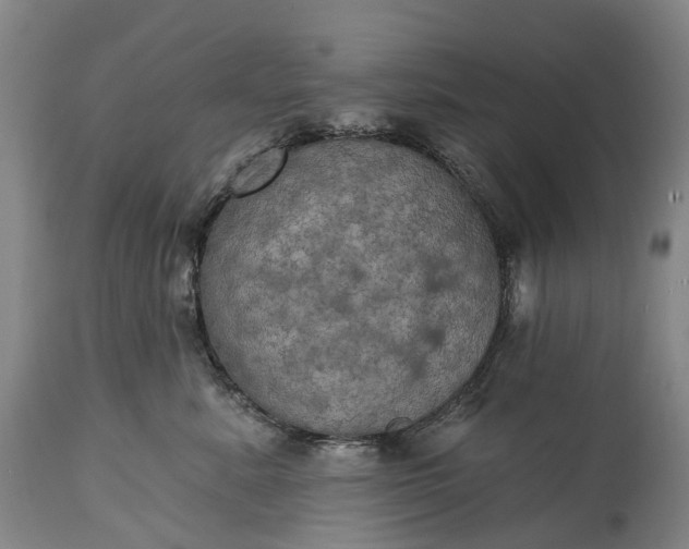 X0000115320619200911161746