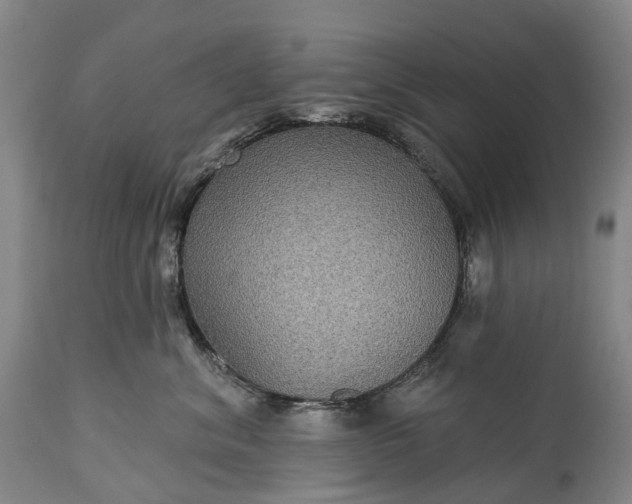 X0000115320620200911161746