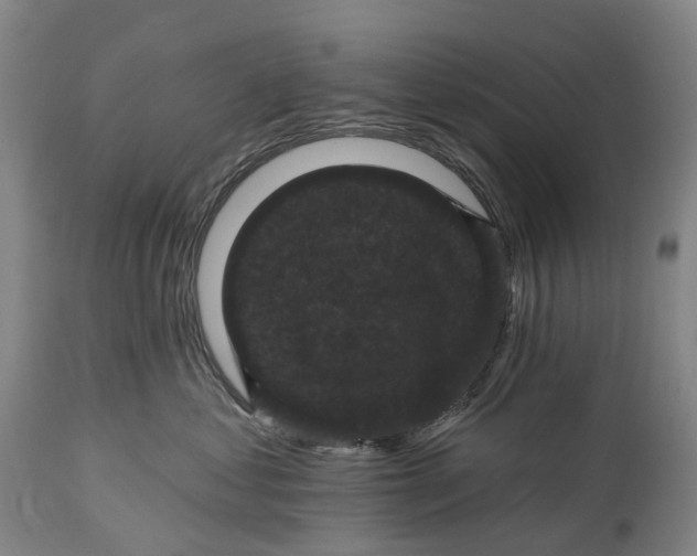 X0000115320621200911161746