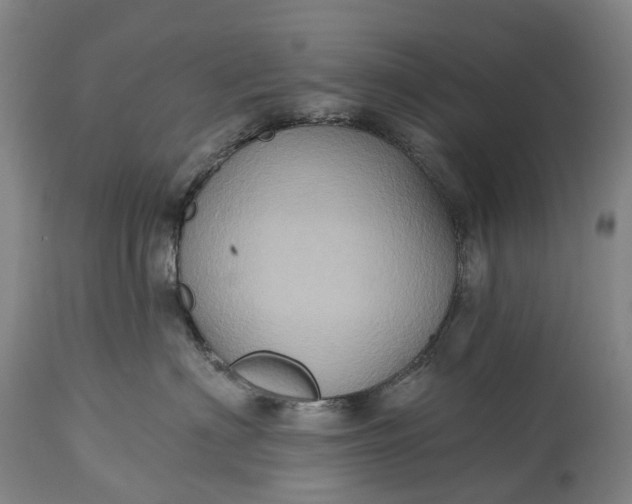 X0000115320622200911161746