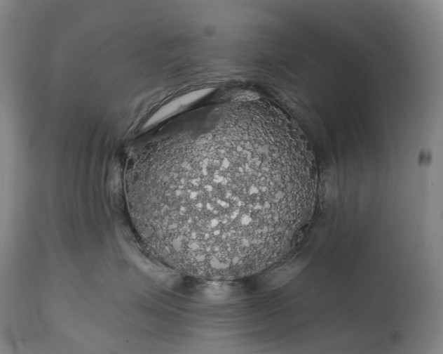 X0000115320623200911161746