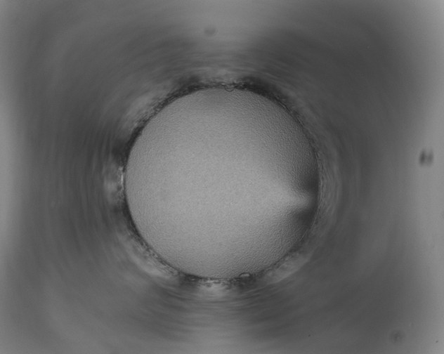 X0000115320624200911161746