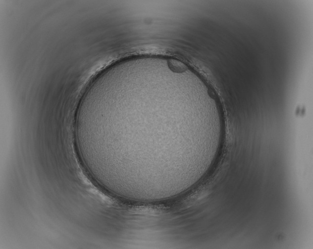 X0000115320625200911161746