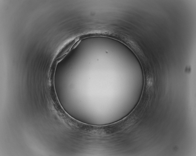 X0000115320628200911161746