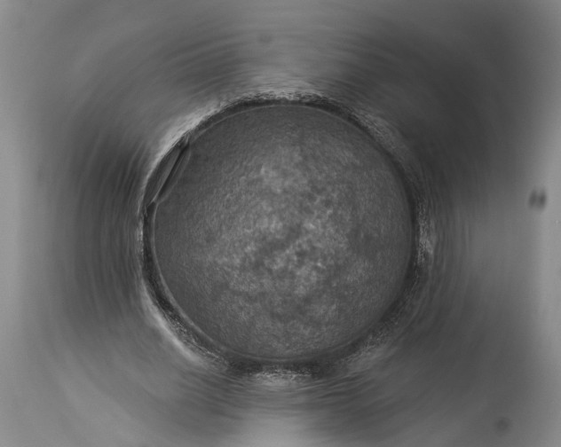 X0000115320630200911161746