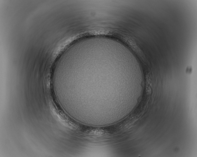 X0000115320631200911161746