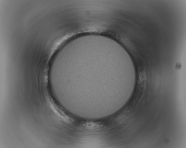 X0000115320632200911161746