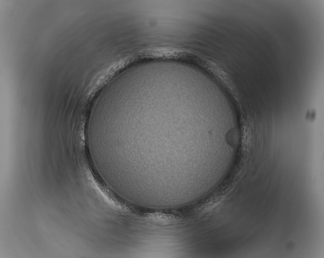 X0000115320633200911161746