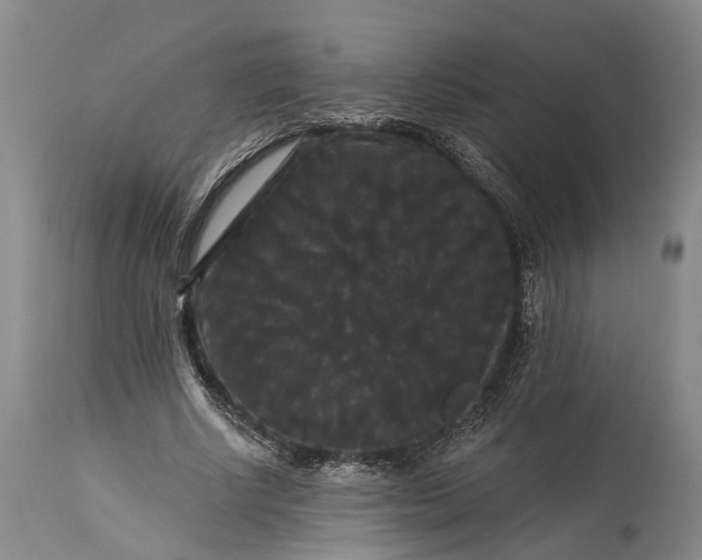 X0000115320634200911161746